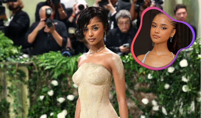 Tyla's Met Gala Debut: Sand Sculpture Dress and Assistance on Steps