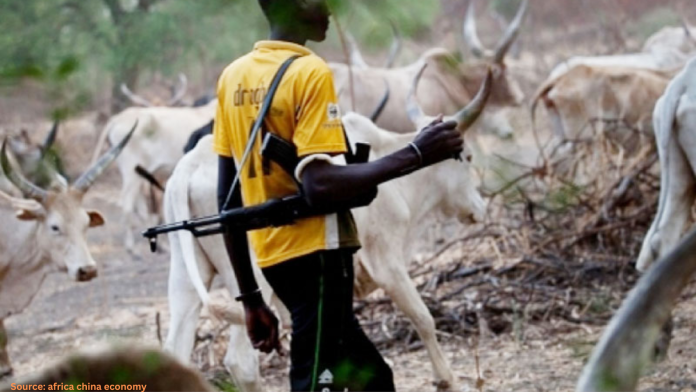 Violence Escalates in Borno State: Farmer's Hands Severed in Shocking Herdsmen Assault