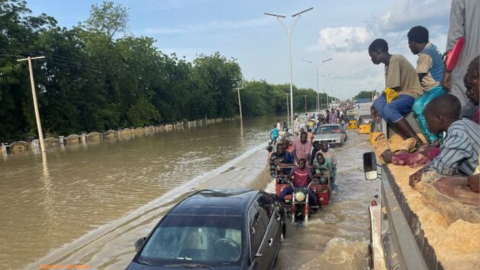 Cholera Outbreak in Borno: 451 Cases Amid Flooding Crisis