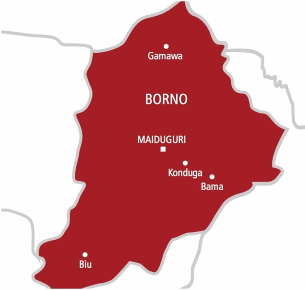 borno_1761590307.jpeg